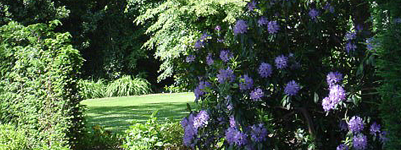 tuinarchitect Brugge bostuin ontwerp