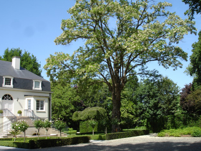 Tuinarchitect Jabbeke