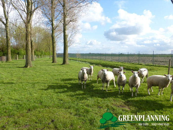 tuinarchitect realisatie landelijke tuin Gistel