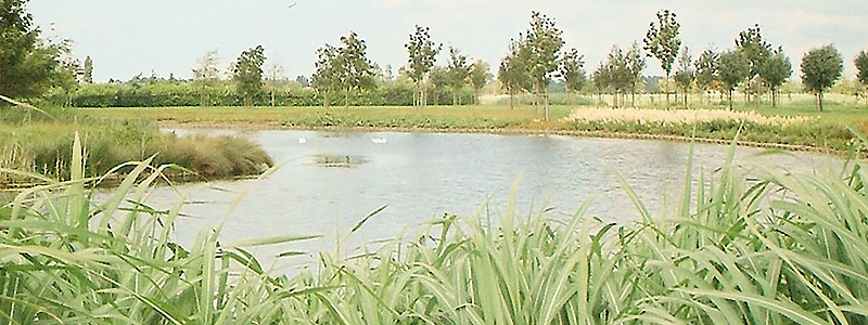 Exclusieve tuinaanleg voor landhuizen