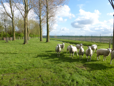 Landschapsarchitect West-Vlaanderen