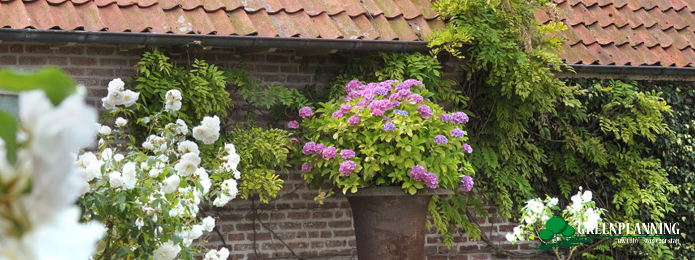 tuinarchitect realisatie landelijke tuin Oostende