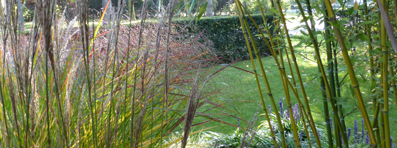 professioneel tuinarchitect Brugge