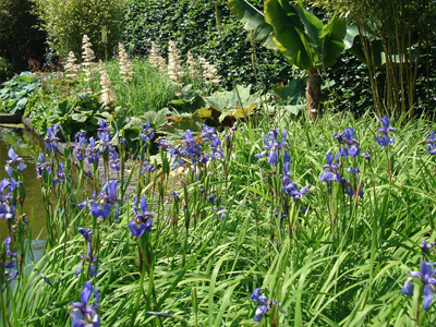 professioneel tuinarchitect Brugge