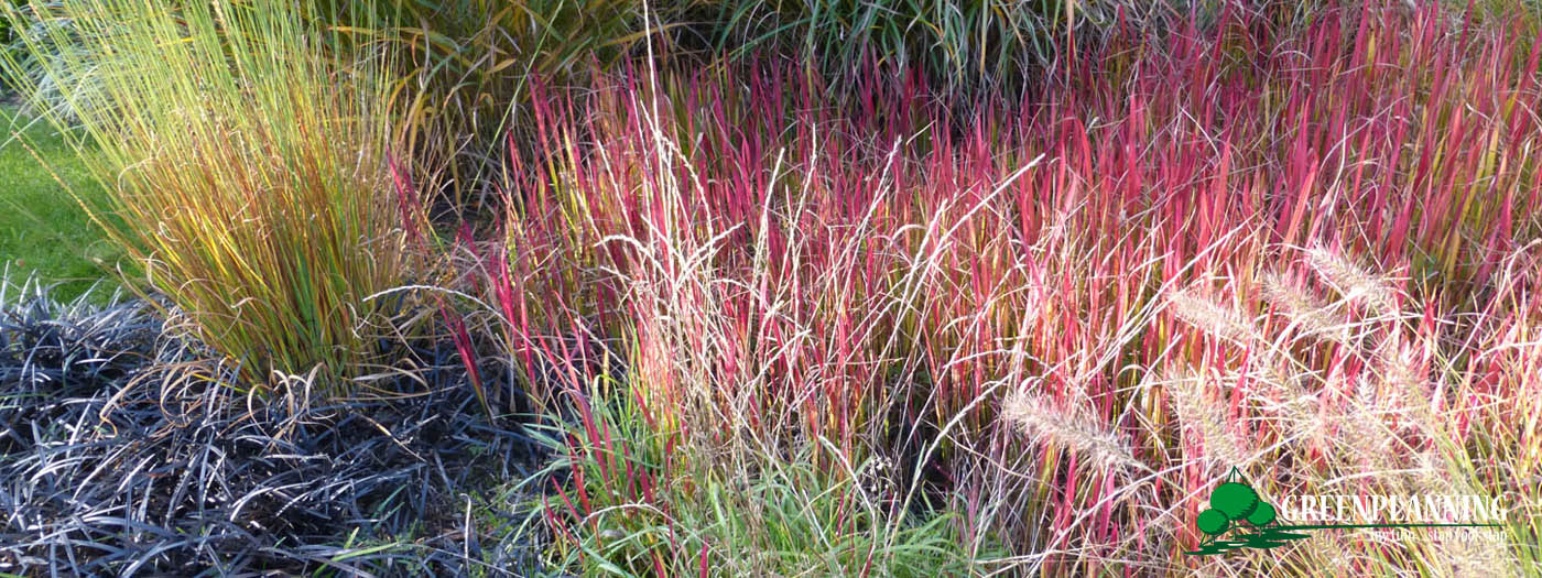 tuinarchitect realisatie stadstuin Jabbeke