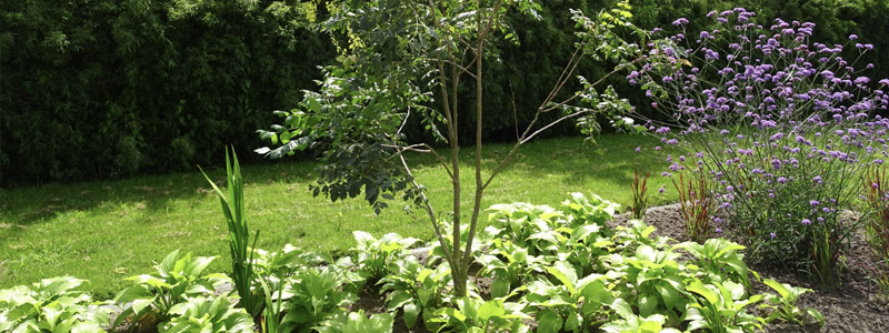 tuinarchitect residentiële tuin Jabbeke