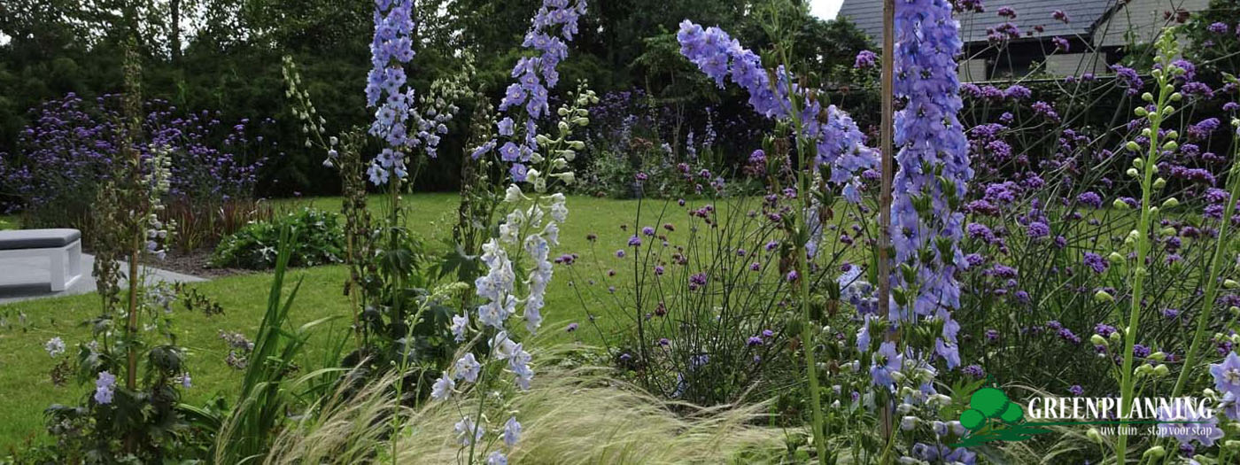 tuinarchitect realisatie stadstuin Jabbeke