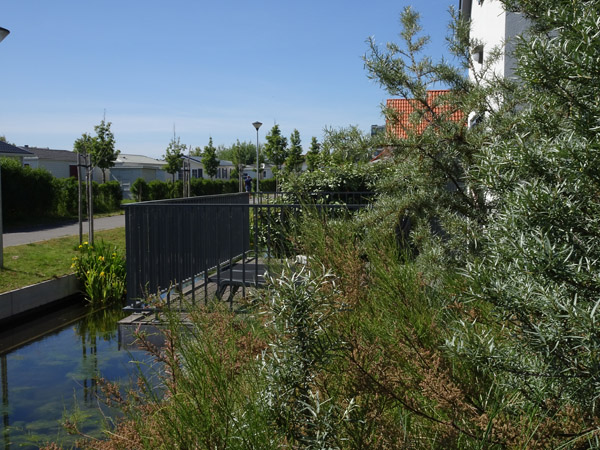 tuinarchitect Breeduyn Village Bredene