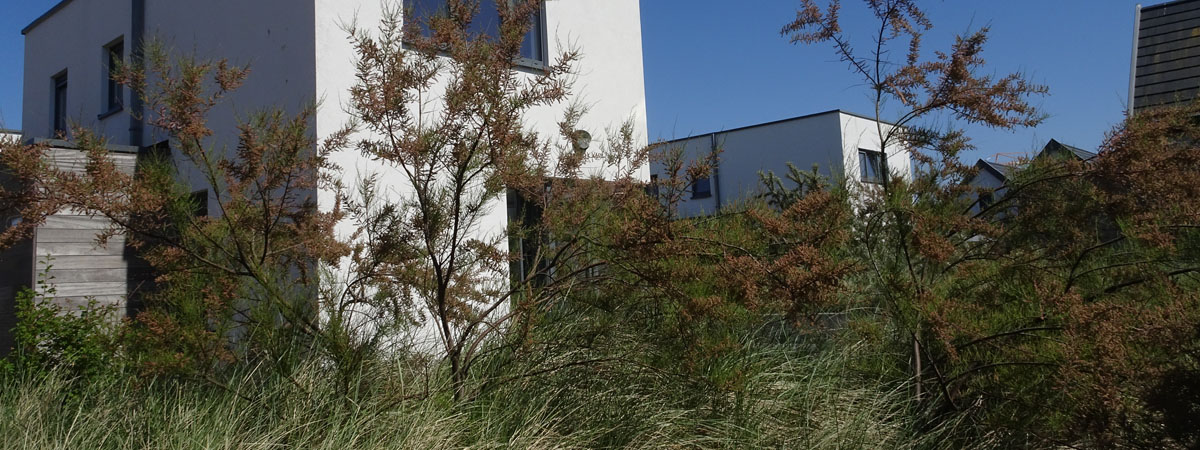 tuinarchitect Breeduyn Village Bredene