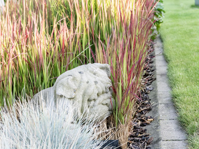 Ervaren tuinarchitect West-Vlaanderen