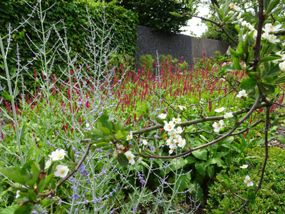 tuinarchitect villa tuin Gistel