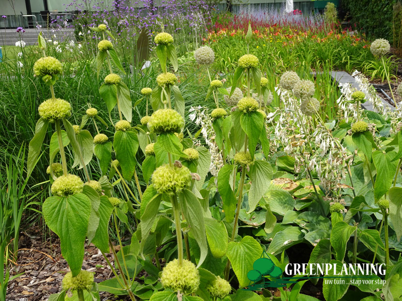 tuinarchitect villatuin Gistel