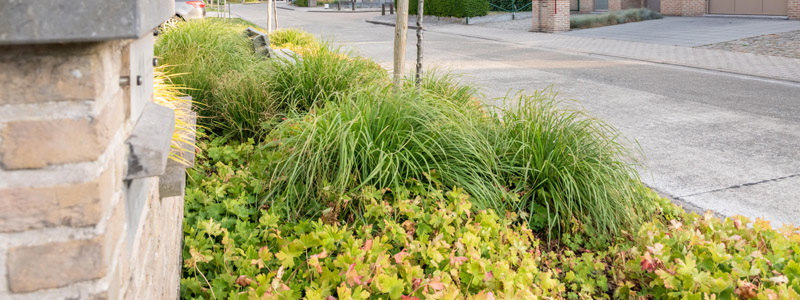 tuinarchitect villatuin Oudenburg