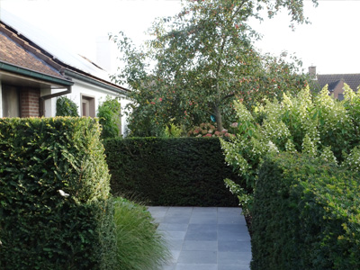 tuinarchitect villa tuin Gistel