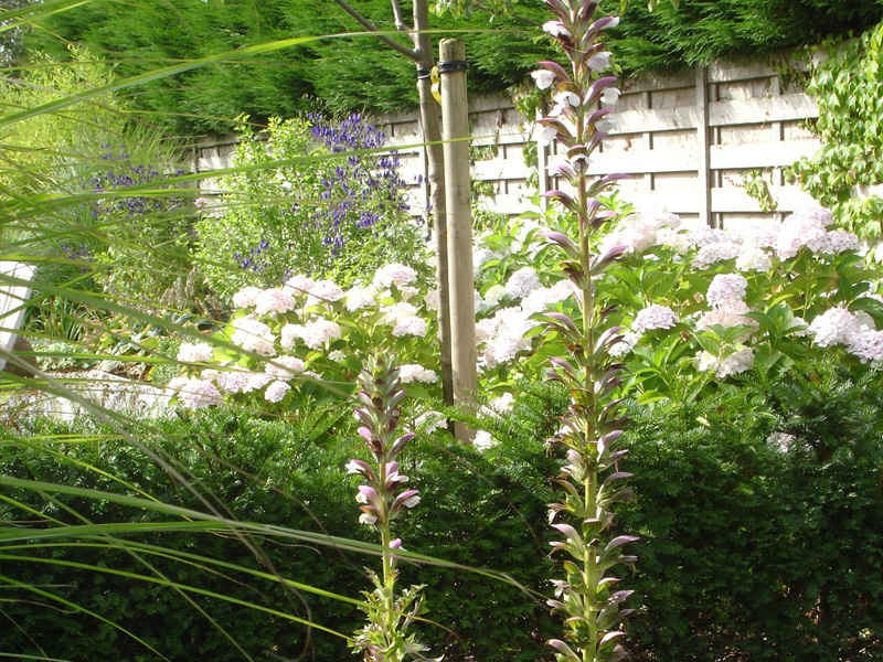 tuinarchitect villatuin Gistel